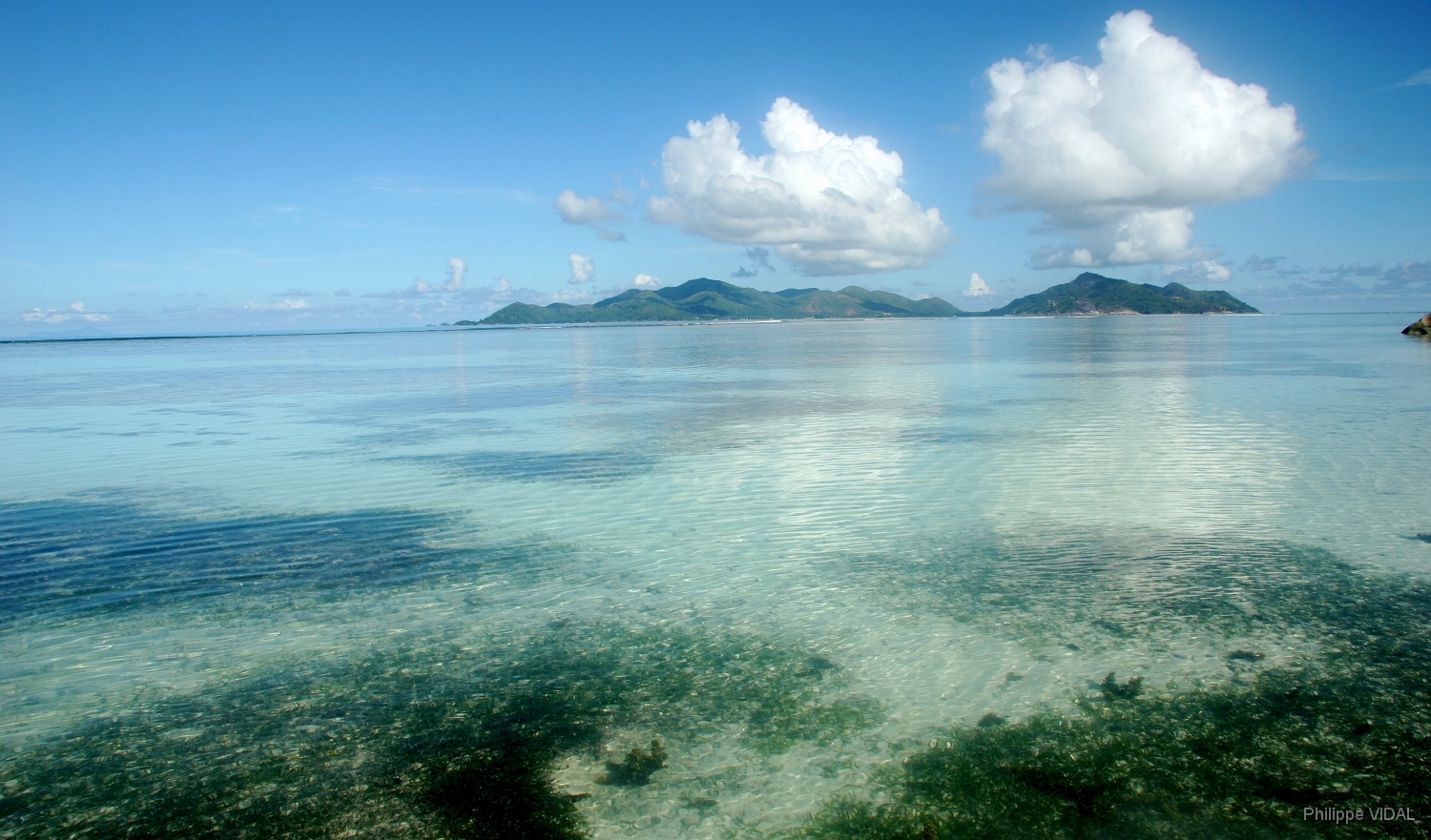 IMG_2167_rf_LA DIGUE_ANSE SOURCE D'ARGENT.jpg